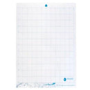 Silhouette Cameo Light Hold Cutting Mat