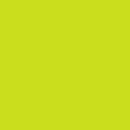 Lime Siser EasyWeed HTV 59"  / Heat Transfer Vinyl / Siser EasyWeed