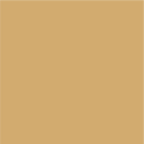 StarCraft HD 24" Permanent Adhesive Vinyl | Beige
