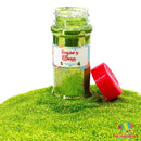 Regan's Illness - The Glitter Guy