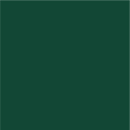 StarCraft HD 24" Permanent Adhesive Vinyl | Dark Green