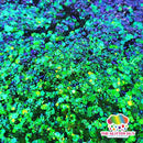 The Glitter Guy Kevin | Chunky Glitter