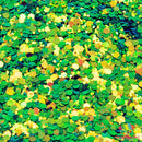 The Glitter Guy Gravender  | Chunky Glitter