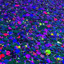 The Glitter Guy Northern Lights | Chunky Glitter