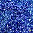 The Glitter Guy - Sad & Boujee | Fine Glitter