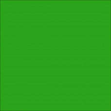 Car Wrap Vinyl 970RA Grass Green Gloss (602) | ORACAL 970RA