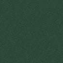 Car Wrap Vinyl Fir Green Metallic Gloss (677) | ORACAL 970RA