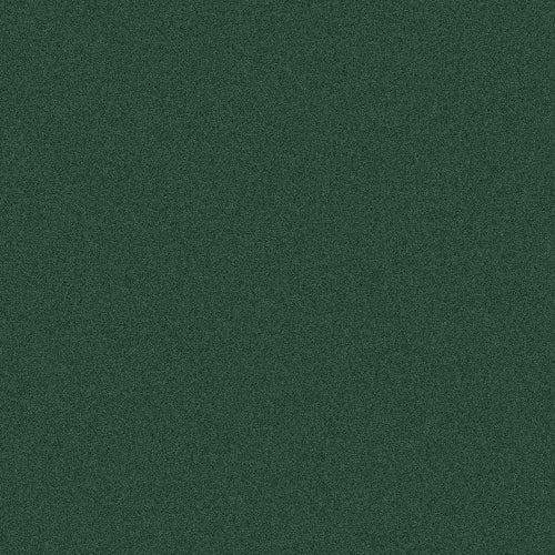 Car Wrap Vinyl Fir Green Metallic Gloss (677) | ORACAL 970RA