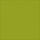 Car Wrap Vinyl | ORACAL 970RA Alga Green Gloss (688)