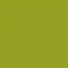 Car Wrap Vinyl | ORACAL 970RA Alga Green Gloss (688)