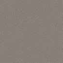 Car Wrap Vinyl | ORACAL 970RA Aluminum Gloss (908)