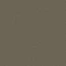 Car Wrap Vinyl 970RA Grey Cast Iron Gloss (935) | ORACAL 970RA