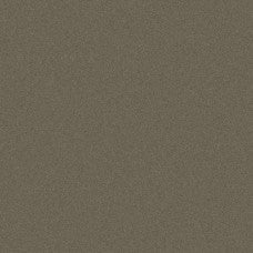 Car Wrap Vinyl 970RA Grey Cast Iron Gloss (935) | ORACAL 970RA
