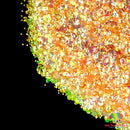 The Glitter Guy Peach Out  | Chunky Glitter