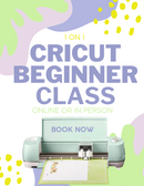 Cricut Design Space for Beginners Class | Private 1 on 1 Class