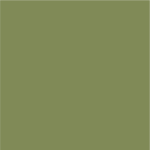 Siser EasyPSV Alligator Green Permanent Adhesive Vinyl | Outdoor Vinyl