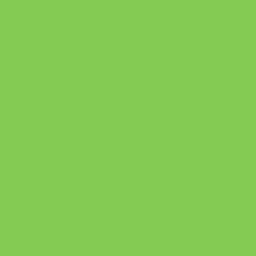 Siser EasyWeed EcoStretch 12" - Apple Green