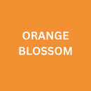 3D Super Puff Heat Transfer Vinyl (HTV) - Orange Blossom
