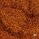 The Glitter Guy | Copper Kettle