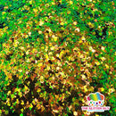 The Glitter Guy Kush | Chunky Glitter