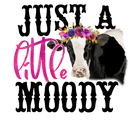 Direct to Film Transfer | DTF Prints | Direct to Film Transfer  - Just a little moody