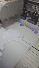 Custom DTF Prints | DTF Transfers | Direct to Film Prints | Gang Sheets Available | 1 Day Turn Around Time