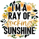 Direct to Film Transfer | DTF Prints | Direct to Film Transfer  - I'm a ray of sunshine