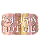 Direct to Film Transfer - Try Jesus not me