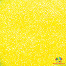 Magic School Bus - The Glitter Guy