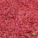 Starfish | The Glitter Guy