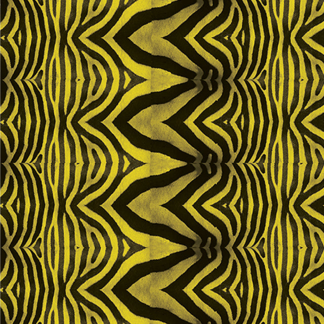 Yellow Zebra 12