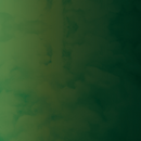 Forrest Ombre Permanent Vinyl / Printed Adhesive Vinyl / Pattern Permanent Vinyl