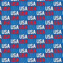 USA USA 12" Pattern Heat Transfer Vinyl / Siser Easy Patterns / Printed HTV