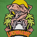 Siser TTD High Tack Mask Sheets 25 Pack 11" x 17"