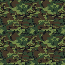 Pattern Permanent Vinyl-  Camoflage  - Permanent Vinyl / Printed Permanent Vinyl