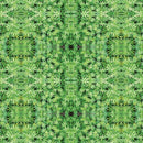 Kaleidoscope 2 420 Plant - Permanent Vinyl / Printed Permanent Vinyl