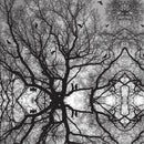 Permanent Vinyl -Spooky Trees -Permanent Vinyl / Printed Permanent Vinyl