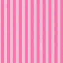 Permanent Vinyl -Secret Stripes- Permanent Vinyl / Printed Permanent Vinyl