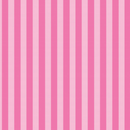 Permanent Vinyl -Secret Stripes- Permanent Vinyl / Printed Permanent Vinyl